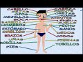 Exploring Body Parts in Spanish for Kids