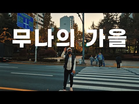 🍁가을브이로그ㅣ불란서와이너리, 무나홈트 원데이클래스, 이승윤콘서트( feat.기모레깅스 추천 )