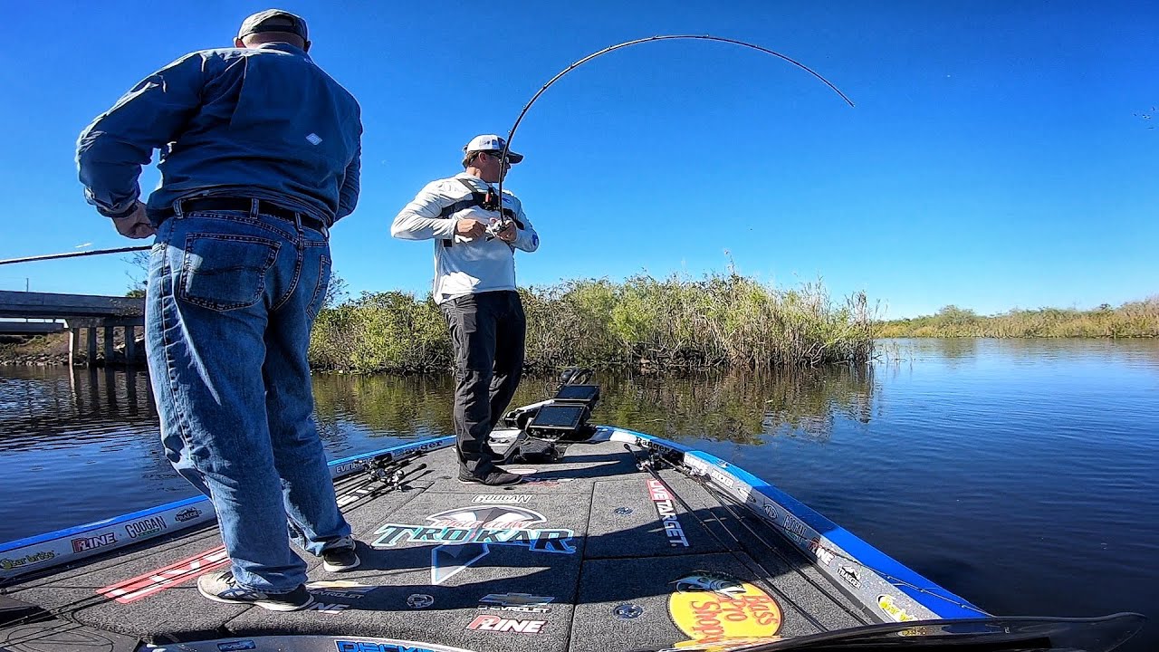 I Take These Guys to the Everglades