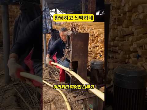 황당하고 신박하네