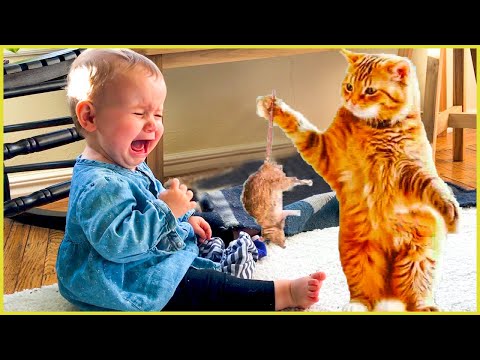 Furry Babysitter: When Funny Cat Meets Babies || Peachy Vines