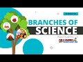 Branches of Science and Their Focus
