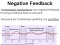 Homeostasis and Feedback Mechanisms