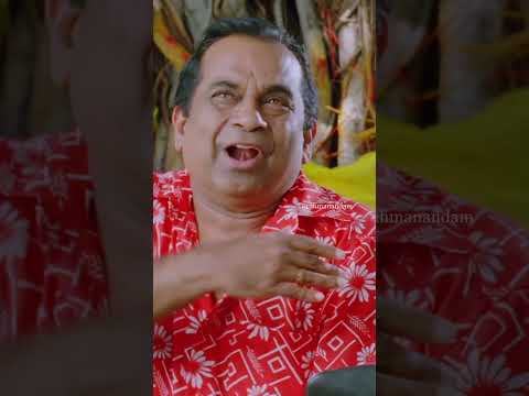 బ్రహ్మి కామెడీ కి కడుపుబ్బా నవ్వులే 😂 | Mallanna | Vikram | Shriya Saran | Brahmanandam | #YTShorts