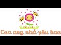 Đếm chữ O trong câu
