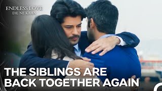He Ended His Bad Blood with His Family - Endless Love