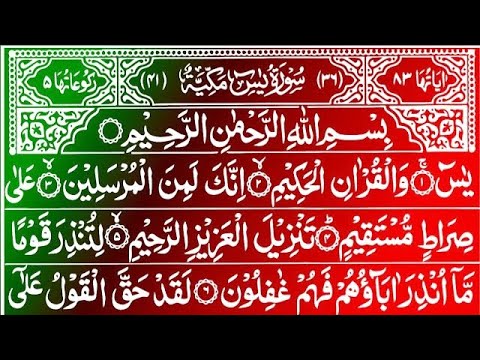 LIVE Surah Yaseen || Qur'an Recitation || Surah Rahman || Surah Yasin full || Best Quran Tilawat