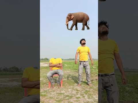Flying body parts matching & catching elephant & cat funny vfx magic | Kinemaster editing