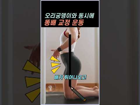 오리궁뎅이와 똥배 동시 교정 운동