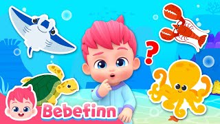 🌊 Dance with Sea AnimalsㅣEP166ㅣSong for KidsㅣBebefinn Nursery Rhymes