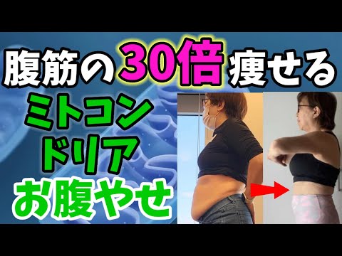 腹筋の30倍痩せる❗ミトコンドリアでお腹痩せ！－１０cm❗