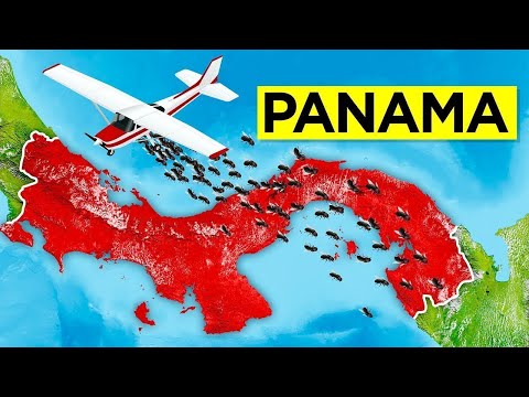 Por Que Estão Soltando Milhões De Moscas Radioativas No Panamá?