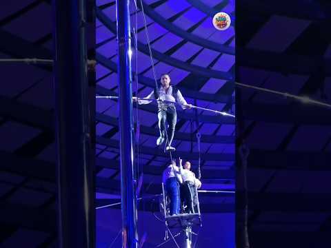 most beautiful circus act everyone happy! #shorts #shortsfeed #trendingshorts #viral #circus