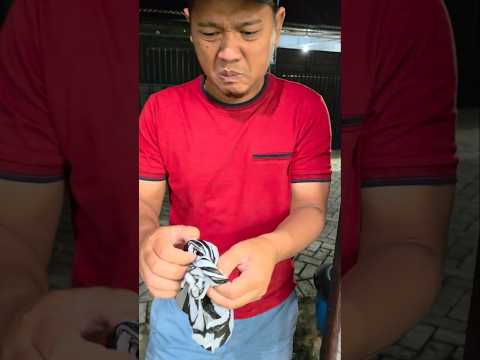 BANDO HILANG #mamangomel #reality #vlog