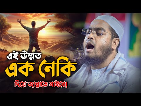 এই উম্মত এক নেকি দিয়ে জান্নাতে যাইবে || Hafizur Rahman Siddiki Waz 2024