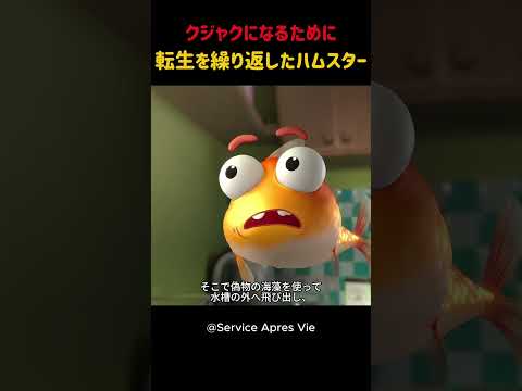 クジャクになるために転生を繰り返したハムスター #shorts