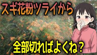 【花粉症はスギを全部切れば解決？】実は逆効果｜災害と温暖化がヤバすぎた【スギ花粉・森林問題・雑学】
