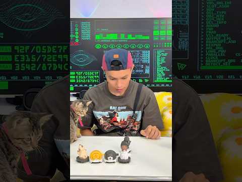 Mèo và Robot hút bụi Blindbox