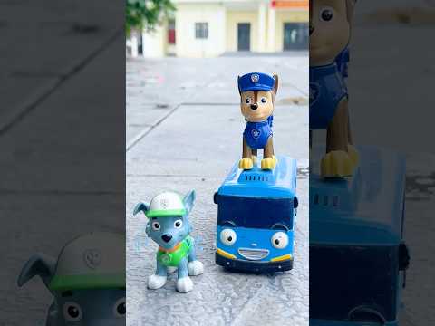 PAWPATROL’s Help me | Chase vs Rocky #famyli #pawpatrol #funny #rescue