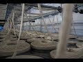 Cotton Spinning Revival in the UK