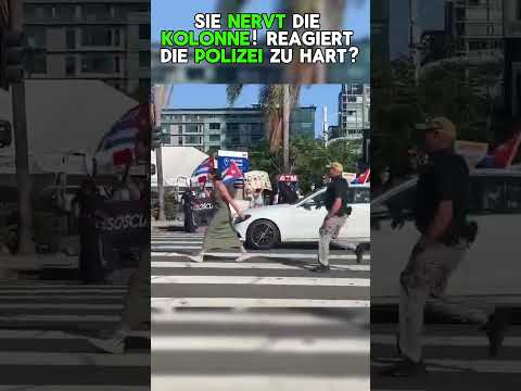 Sie will Kolonne stören! Reagiert die Polizei zu hart?