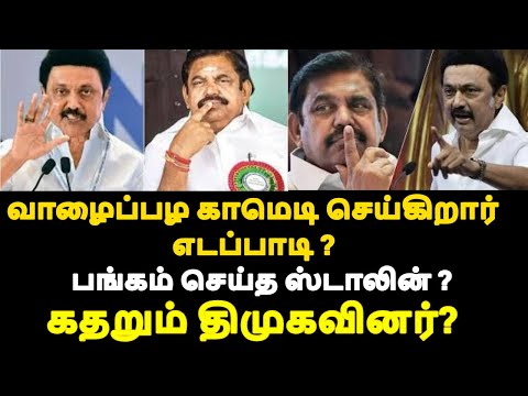 வாழைப்பழ காமெடி செய்கிறார் எடப்பாடி ? பங்கம் செய்த ஸ்டாலின் ? கதறும் திமுகவினர்? |live news tamil