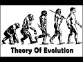 Darwin and Lamarck's Evolutionary Theories