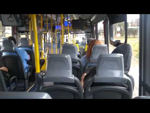 Eu no bus top