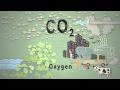 Carbon Dioxide and Earth's Atmosphere