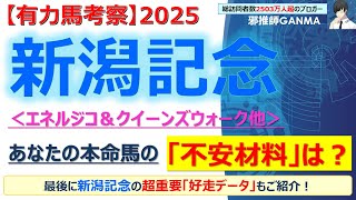 【新潟記念2025 有力馬考察】エネルジコ＆クイーンズウォーク他 人気馬5頭を徹底考察！