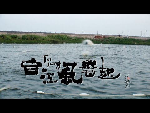 【台江】台江虱響起(25分鐘臺語版) pic