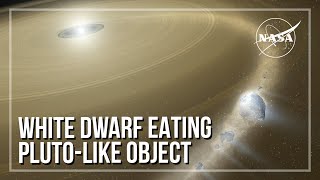 White Dwarf Eating Pluto-Like Object