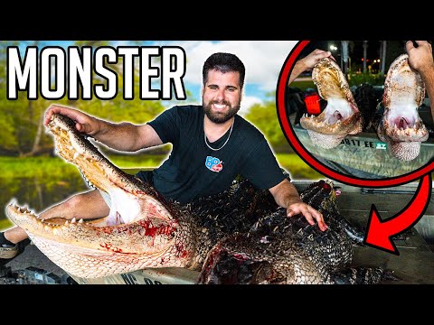 First Time Hunting MASSIVE GATORS IN FLORIDA! *Tagged out*