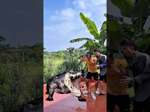 Cá Sấu Khổng Lồ Xuất Hiện #funny #shortvideo #giaitri #challenge