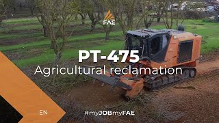 Video - FAE PT-475 - Vehículo con orugas con trituradora forestal y MTM 225 - Reciclaje de un almendral en California 