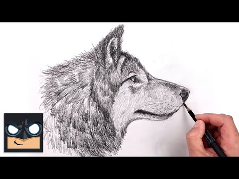 How To Draw a Wolf for Beginners - Sketch Art Lesson (Step by Step)