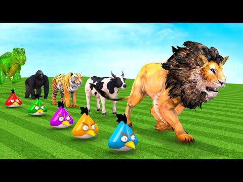 Paint & Animals Duck,Gorilla,Chicken,Elephant,Sheep Fountain Crossing Transformation Animal Cartoon