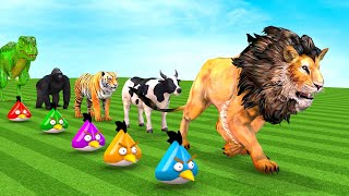 Paint & Animals Duck,Gorilla,Chicken,Elephant,Sheep Fountain Crossing Transformation Animal Cartoon