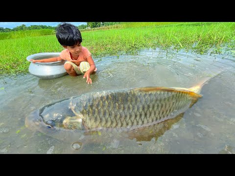 Amazing Village Little Girl Catching Fish By Hand In Rain Mud Water | Fishing Video