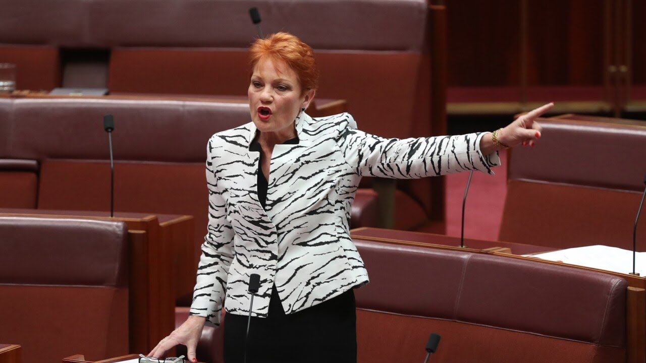 Pauline Hanson ‘doing Scott Morrison’s job’ getting rid of ‘left-leaning Liberals’