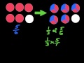 Understanding Area Models and Fractions