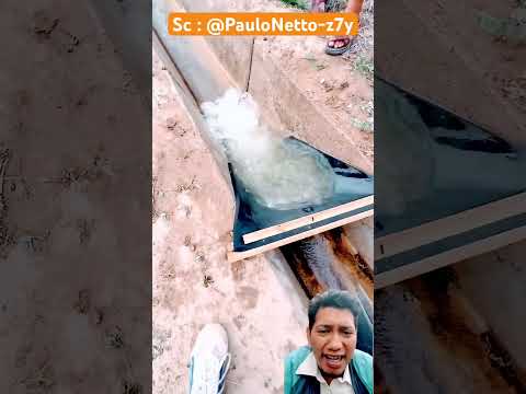 Jebak ikan di parit !! #funny #fishing #experiements #trending #shorts