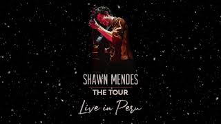 Fallin’ All In You - Shawn Mendes ( Live in Peru )