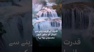 Have you ever felt calmer after getting out in nature? - BBC URDU