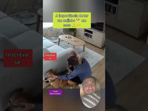 Momentos que eles  salvaram bebês 🙏🙌 #petsfofinhos #inscreva_se #pets #like