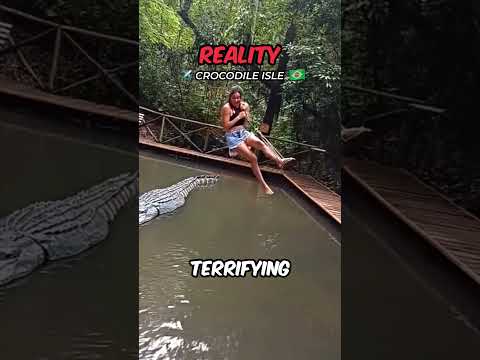 Swing Over CROCODILES?! 😱
