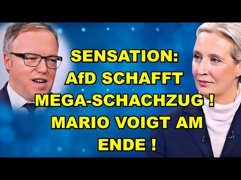 AfD mit Mega-Schachzug! VOIGT AM ENDE!