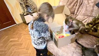 видео