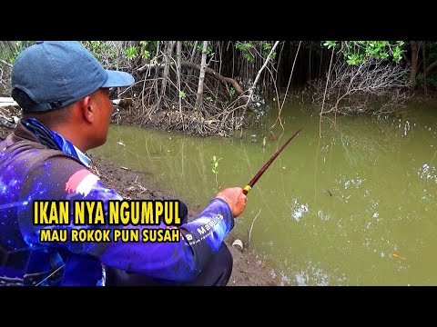 IKANYA SUDAH NGUMPUL,!! Mancing di muara menggunakan umpan lumut