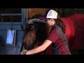 Horse Care and Management Knowledge